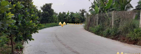 Cần bán đất vị trí đặt ở tại Long Khánh, Đồng Nai. Diện tích 500m2, giá 810 triệu-03