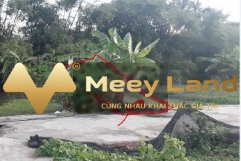 Bán đất tại Mỹ Lộc, Long An, giá 900 triệu, diện tích 100m2-02