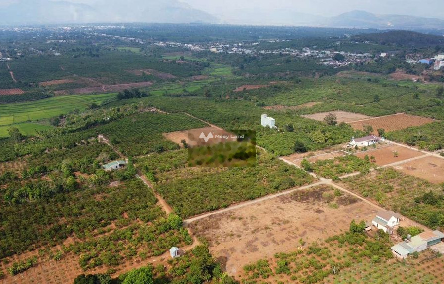 Bán đất 290 triệu Pleiku, Gia Lai diện tích mặt tiền 130m2-01