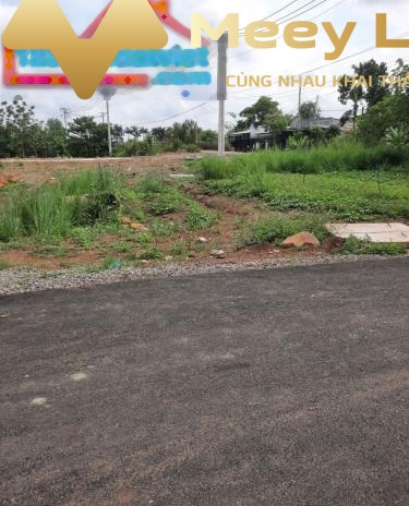 Bán đất tại Thống Nhất, Đồng Nai, giá 920 triệu, diện tích 110m2