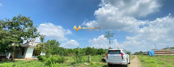 Giá tốt nhất 1.7 tỷ bán đất dt quy đổi 1022m2 mặt tiền tọa lạc ngay Xã Phước Bình, Huyện Long Thành-03