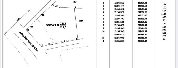 Bán đất Diên Lạc 2 mặt tiền, 318m2, đường quy hoạch 20m giá 2,4 tỷ-03