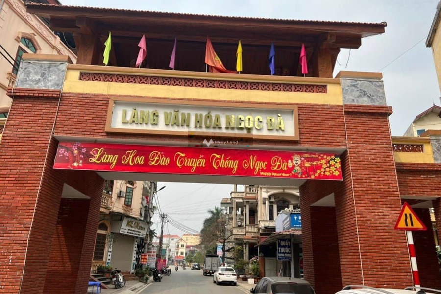 Ngay Tân Quang, Văn Lâm bán đất có diện tích chuẩn 90m2-01