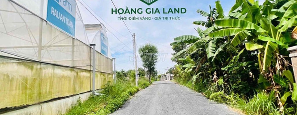 Giá bán đàm phán 2 tỷ bán đất diện tích thực 527m2 vị trí thuận lợi ngay tại Xuân Sơn, Bà Rịa-Vũng Tàu-03