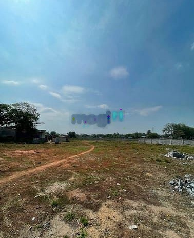 Cho thuê đất 5.500m2 gần đường Liên Phường, Phú Hữu, Quận 9 