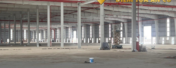Cho thuê kho xưởng xây mới tại khu công nghiệp Đình Vũ từ 3600m2 đến 23760m2 có trạm biến áp PCCC tự động-03