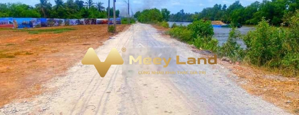 Bán đất diện tích 90m2 tại Nguyễn Văn Tuôi, Bến Lức-03