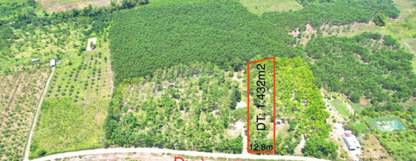 Giá bán siêu rẻ từ 800 triệu bán đất diện tích chung là 1400m2 vị trí đẹp tọa lạc ngay ở Khánh Đông, Khánh Vĩnh-03