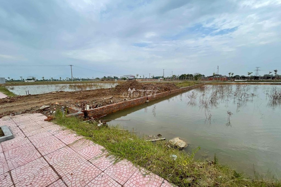 Từ 3.95 tỷ bán đất diện tích sàn là 465m2 vị trí tiện lợi ngay tại Yên Lạc, Vĩnh Phúc-01