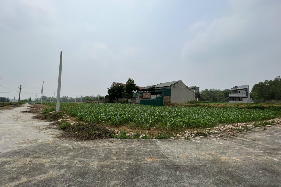 Bán đất diện tích thực là 185m2 vị trí đặt tại Chu Hóa, Việt Trì hỗ trợ mọi thủ tục miễn phí, giá mùa dịch.-01