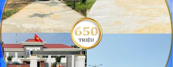 Tọa lạc ở Quốc Lộ 1A, Quảng Nam bán đất giá thỏa thuận 690 triệu diện tích như sau 100m2-03