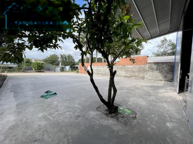 Cho thuê nhà có diện tích gồm 700m2 vị trí đẹp tại Đinh Bộ Lĩnh, Lộc An-01