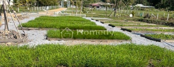 Tọa lạc trên Tây Ninh, Tây Ninh bán đất-02