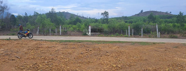 Chính chủ cần bán sỉ lô đất full thổ cư tách được 3 lô tại Khánh Bình, Khánh Vĩnh -03