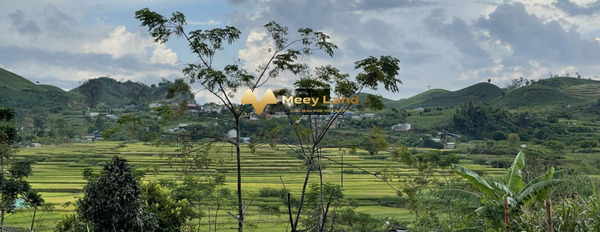 Phiêng Luông, Sơn La bán đất dt tổng 2600 m2-02