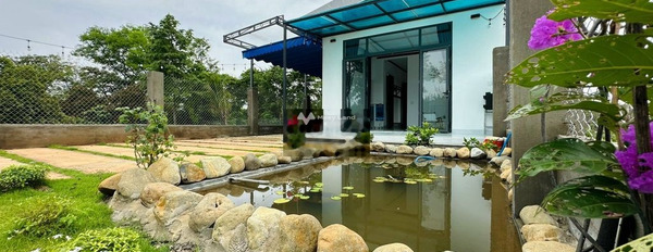 Mặt tiền nằm tại Buôn Ma Thuột, Đắk Lắk, cho thuê nhà, giá thuê rẻ từ 8 triệu/tháng có một diện tích là 550m2 lh ngay!-03