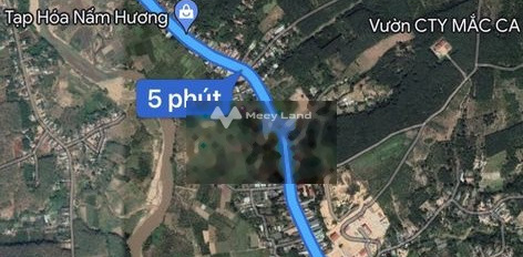 Bán đất 500 triệu Đắk Tô, Kon Tum diện tích chính là 300m2-03