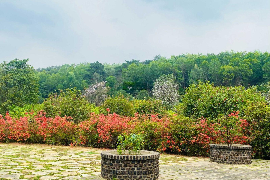 Bán biệt thự nằm ngay Nguyễn Văn Cừ, Phúc Yên có một diện tích là 784m2-01
