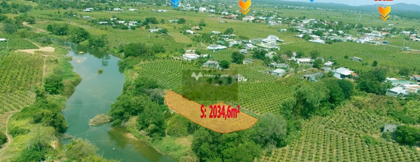 1.6 tỷ bán đất diện tích rộng 2034m2 vị trí đẹp ở Hàm Thuận Nam, Bình Thuận, hướng Tây Nam-02
