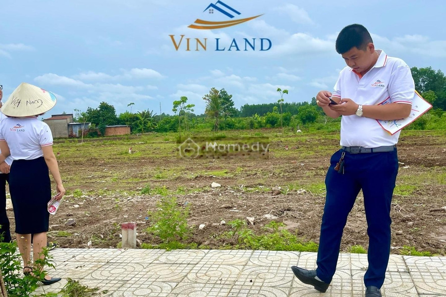 Bán đất Thống Nhất, Đồng Nai 800 triệu, mặt tiền 100m2-01