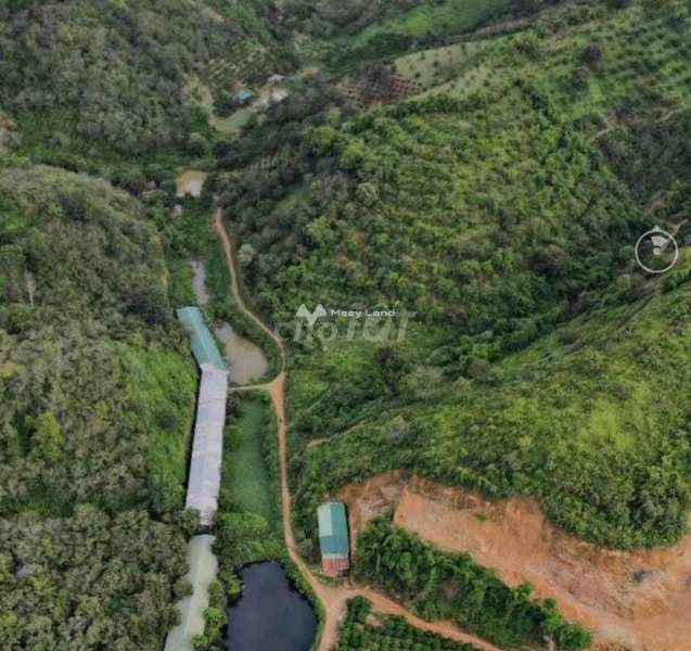 Buôn Ma Thuột, Đắk Lắk 12 tỷ bán đất có diện tích rộng 100000m2-01