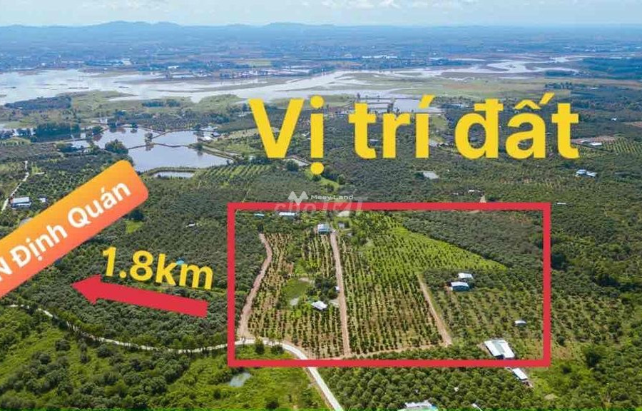 2.2 tỷ bán đất diện tích chung 1010m2 vị trí trung tâm Vĩnh Cửu, Đồng Nai, hướng Đông Nam-01