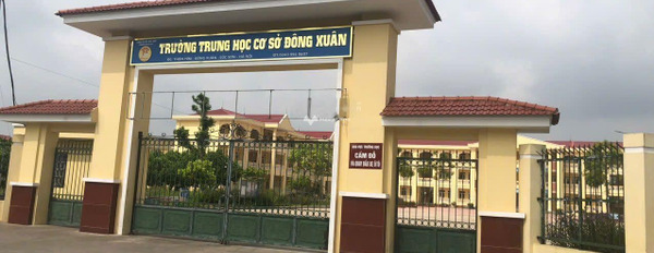 Tại Đông Xuân, Sóc Sơn bán đất diện tích chuẩn 121m2-02