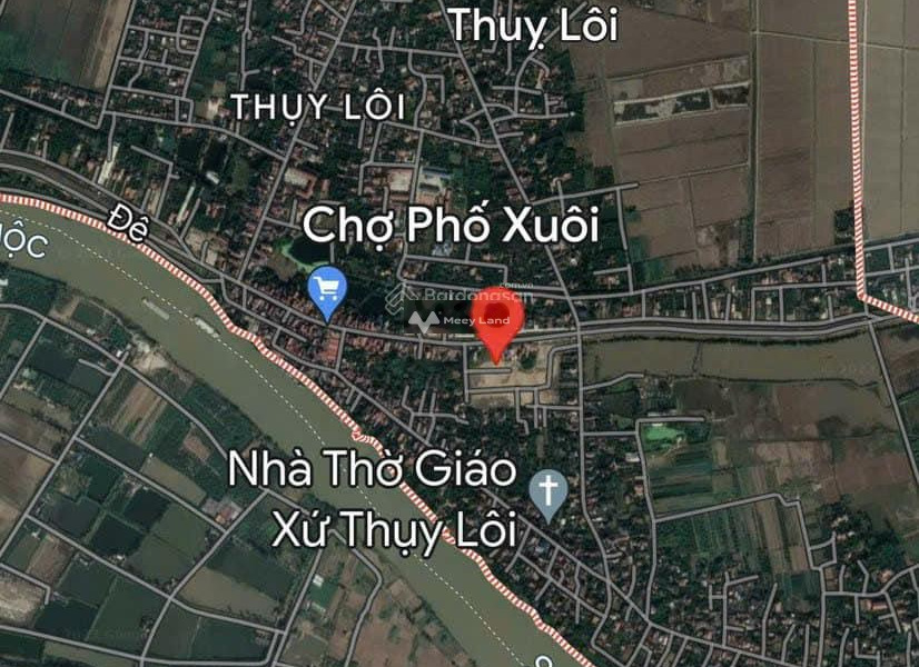 Bán đất 760 triệu Thụy Lôi, Hưng Yên diện tích khoảng là 96m2-01