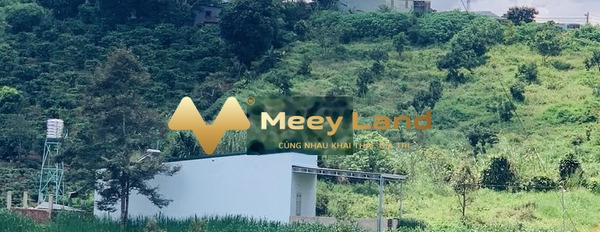 Nhà có 3 PN bán nhà ở có dt chính 500 m2 vào ở ngay giá cực rẻ từ 2 tỷ vị trí đặt tại Bảo Lộc, Lâm Đồng-02