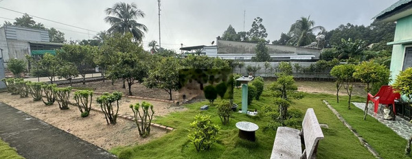 Cần bán gấp Nhà vườn hơn 1.000 m2 CHÍNH CHỦ gần UBND xã Phú Điền -02