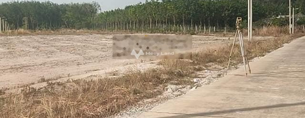 295 triệu bán đất có diện tích sàn 500m2 Phía trong Chơn Thành, Bình Phước-02