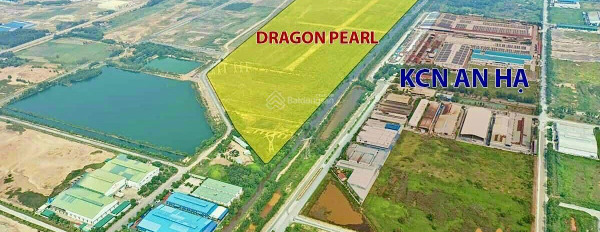 Khu đô thị Dragon Pearl sở hữu vị trí vàng - Tỉnh Lộ 10 - Đức Hòa Đông-03