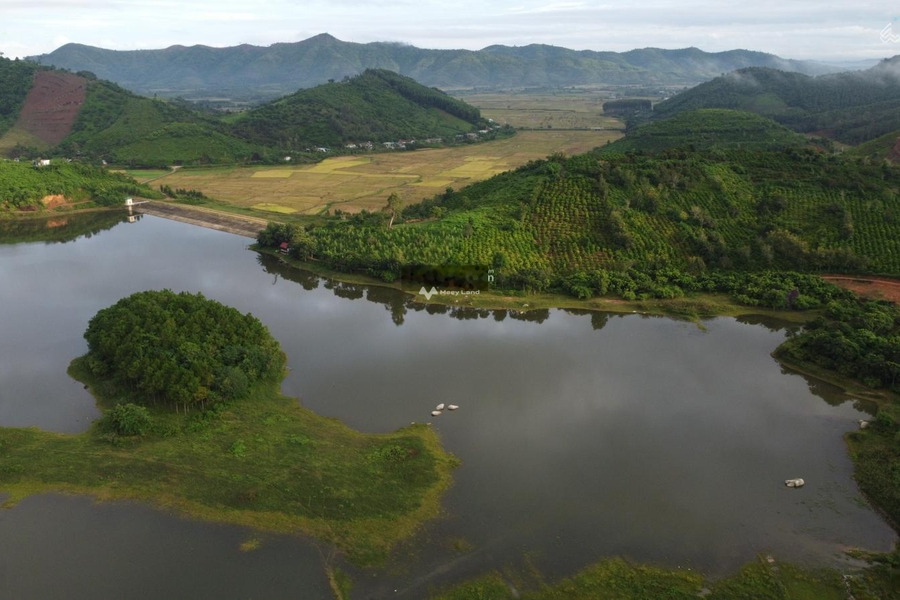 Giá mua ngay chỉ 1.2 tỷ, Bán đất Có tổng diện tích 17000m2 tọa lạc tại Krông Kmar, Krông Bông thuận tiện di chuyển-01