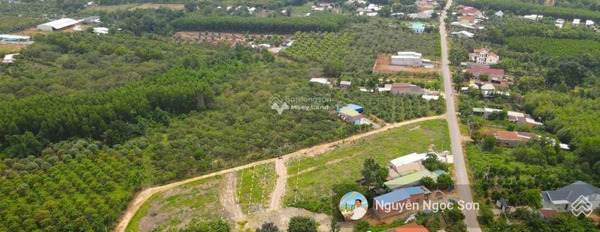 Định Quán, Đồng Nai 810 triệu bán đất có diện tích rộng 240m2-02