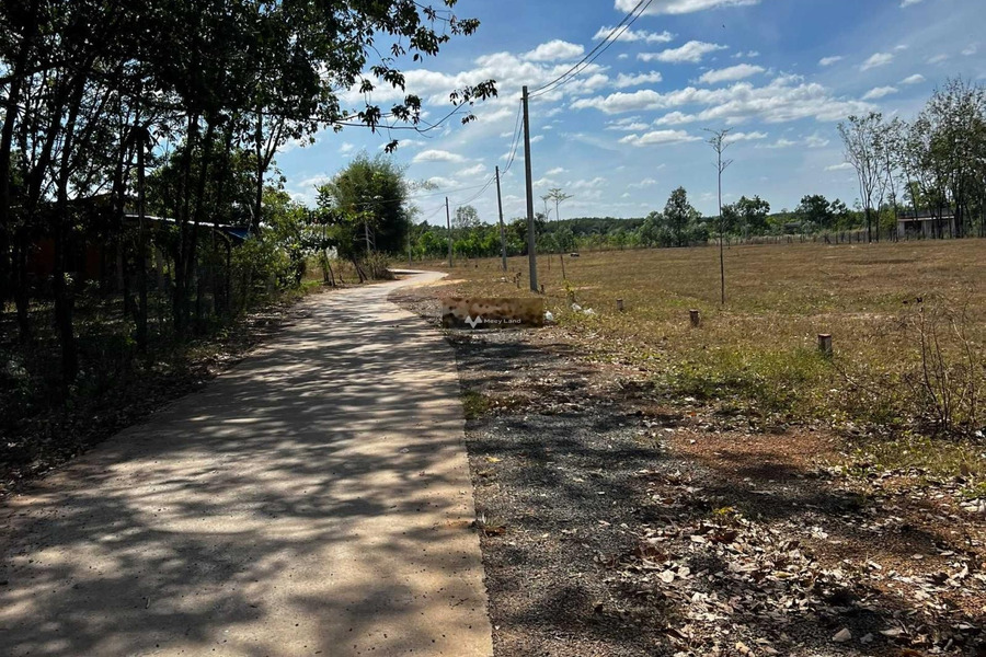 Lộc Hưng, Bình Phước 359 triệu bán đất với diện tích thực 300m2-01
