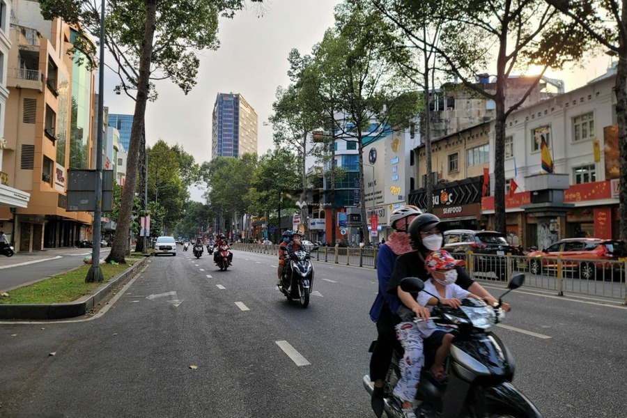 Diện tích 156m2 bán nhà ở vị trí thuận tiện Trần Hưng Đạo, Nguyễn Cư Trinh khách có thiện chí liên hệ ngay.-01
