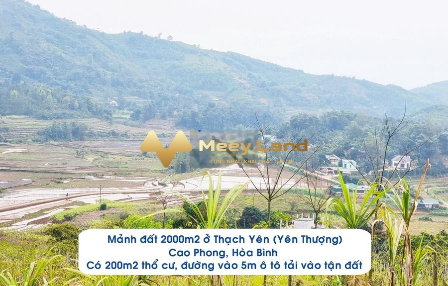 Cần bán đất vị trí đẹp nằm trên Thạch Yên, Cao Phong. Diện tích 2000m2, giá 1,15 tỷ-01