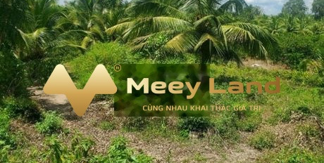 Do thiếu vốn bán mảnh đất, 1000 m2 giá bán khởi đầu chỉ 690 triệu tọa lạc ngay tại Phường Lam Sơn, Tỉnh Thanh Hóa tin chính chủ-02