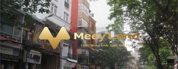 Vị trí hấp dẫn ngay tại Quận Hai Bà Trưng, Hà Nội bán nhà vào ở luôn giá cạnh tranh từ 11 tỷ có diện tích 35 m2 khách có thiện chí liên hệ ngay.-02