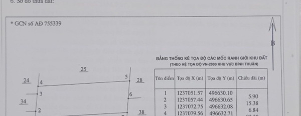 Bán gấp đất Bình Thuận mặt tiền đường liên huyện-03