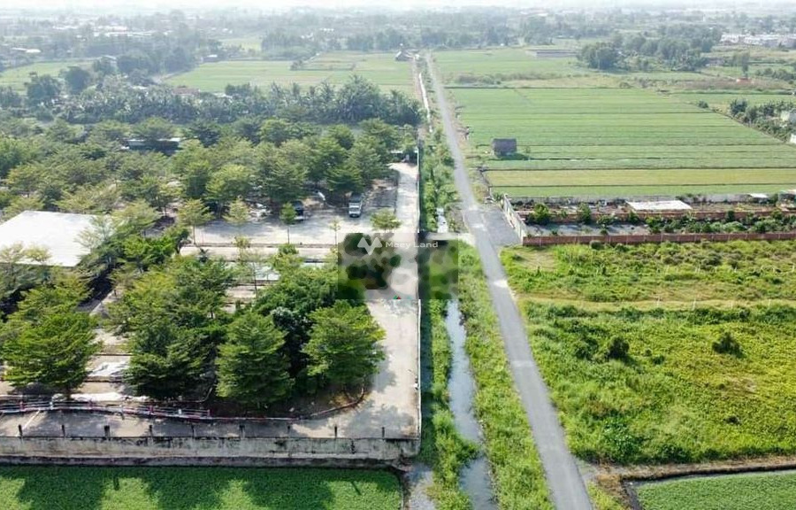 Hà Duy Phiên, Củ Chi 3.2 tỷ bán đất Có tổng diện tích 559m2-01