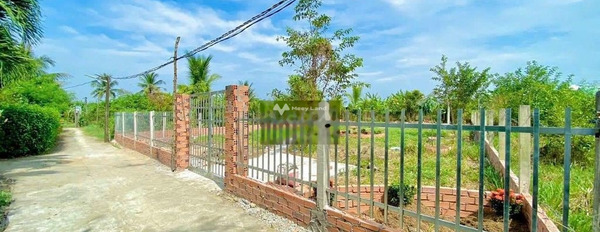 Bán nhà vườn xã Phước Hậu, Cần Giuộc: 500m2 có sẵn nhà chồi -03