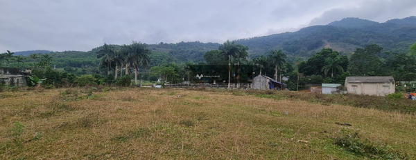 Bán đất có diện tích tổng là 5336m2 vị trí đặt nằm trên Liên Xã, Lương Sơn-02