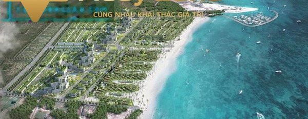 Dt cụ thể 1649 m2 bán đất giá cực sốc chỉ 3.3 tỷ-02