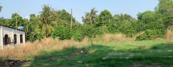 Cần bán rẻ lô đất Phước Bình chỉ với giá 1,2 triệu/m2-02