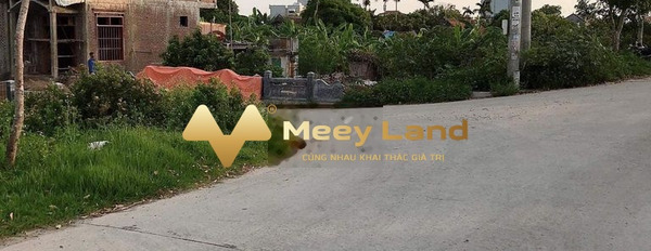 Nghĩa Hưng, Nam Định bán đất giá ưu đãi từ 1.9 tỷ diện tích cụ thể 216 m2-02