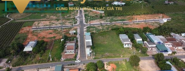 Hàm Thắng, Bình Thuận bán đất giá bán khởi điểm 1.1 tỷ diện tích tổng 100 m2-02