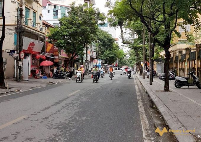 Cần bán nhà mặt phố Phạm Hồng Thái, Ba Đình, Hà Nội. Diện tích 61m2, giá 25 tỷ-01