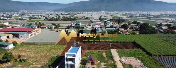 Giá bán siêu tốt 520 triệu bán đất tổng diện tích là 100 m2 nằm tại Xã Ka Đô, Huyện Đơn Dương-03
