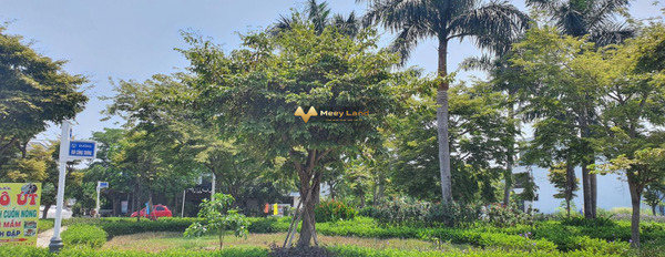 Bán đất tại quận Cẩm Lệ, Đà Nẵng giá 4,3 tỷ-03